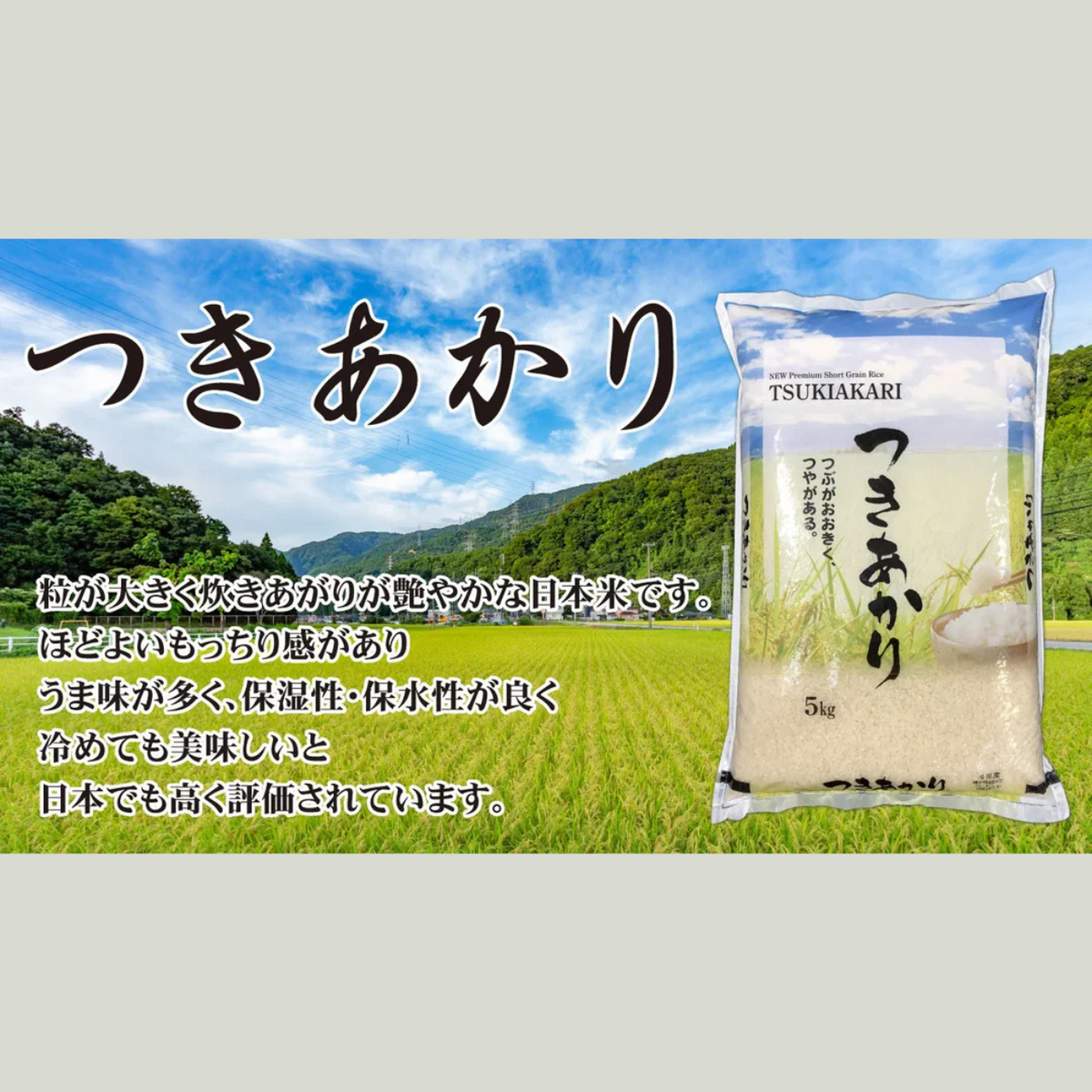 しょっぴー様専用つきあかり20kg しょっぴー様専用つきあかり20kg